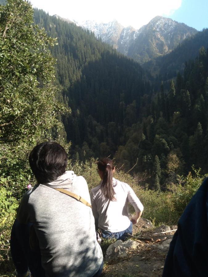 The Tirthan Eagle Nest, Tirthan Valley Jibhi Zewnętrze zdjęcie